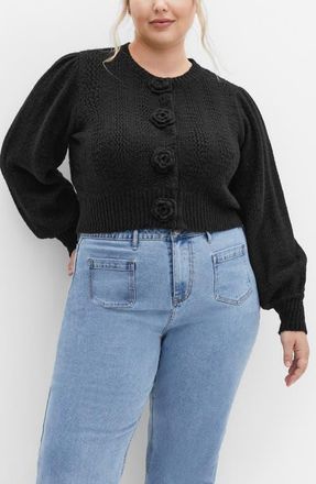 City Chic Winnie Crop Cardigan in Black at Nordstrom, Size Xl