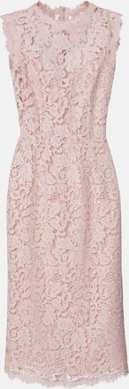 Dolce & Gabbana Cotton-blend lace cocktail dress