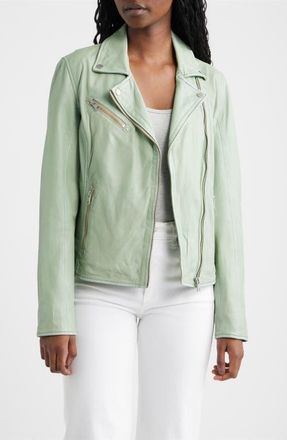 Mauritius Sofia Lambskin Moto Jacket in Frosty Green at Nordstrom, Size 13
