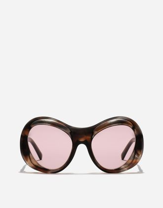 Dolce & Gabbana Re-edition Sunglasses - Woman New Arrivals Camel Havana Onesize
