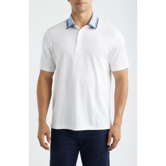 Johnston & Murphy Tipped Contrast Collar Polo in White at Nordstrom, Size Xxx-Large