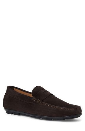 Aquatalia Enzo Water Resistant Driving Loafer in Dark Brown Suede at Nordstrom, Size 10.5