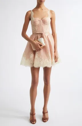 Zimmermann Valiant Lace Trim Corset Minidress in Light Pink at Nordstrom, Size 1