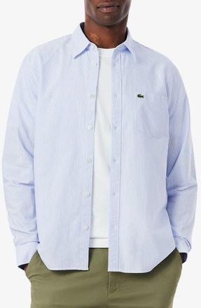 Lacoste Essentials Stripe Cotton Button-Up Oxford Shirt in Overview/White at Nordstrom, Size 46