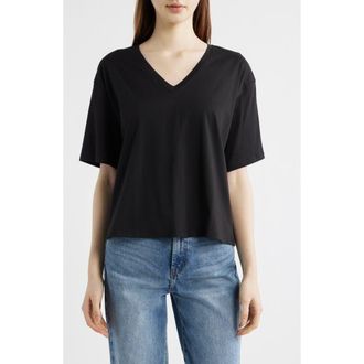 Eileen Fisher V-Neck Organic Cotton T-Shirt in Black at Nordstrom, Size Xx-Small