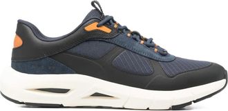 Geox Sneakers Spherica Ecub-5 con inserti - Blu