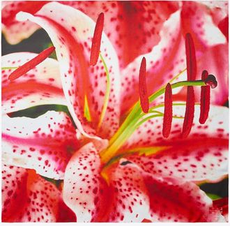 Tory Burch Womens Lily Silk Square Scarf, One Size