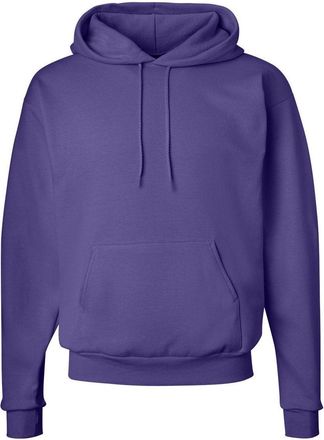 Hanes Ecosmart Hooded Sweatshirt