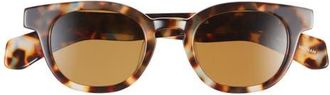 Eyebobs Total Wit 45mm Round Polarized Sunglasses in Blue /Coffee Tort /Brown at Nordstrom
