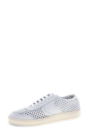 Voile Blanche Rita Perforated Sneaker in White at Nordstrom, Size 12Us