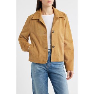 Bernardo Crop Suede Jacket in Sand at Nordstrom Rack, Size Xx-Large
