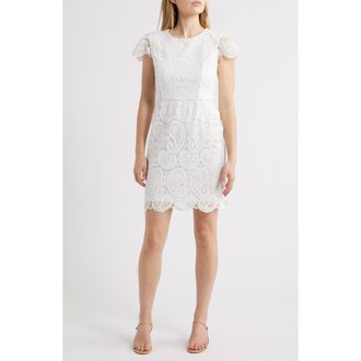 Tahari by ASL Paisley Lace Cap Sleeve Sheath Dress in White at Nordstrom, Size 12P