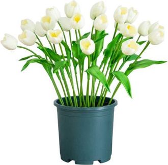 Nearly Natural 2-ft UV Resistant Artificial Tulip Plant in Green at Nordstrom