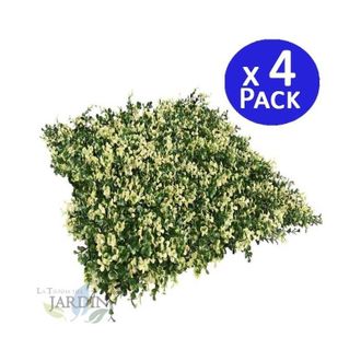 No Brand No Brand - Pack 4 Jardin Vertical Flavo 50x50 Cm Planta Artificial Decoraci&oacute;n Pared Interior Exterior Jardines Verticales