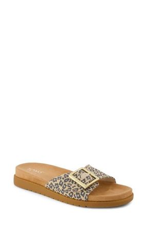 Toms Marin Slide Sandal in Beige/Khaki at Nordstrom, Size 8.5