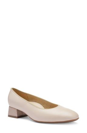 Ara Gypsum Block Heel Pump in Marmor/Shell at Nordstrom, Size 11.5
