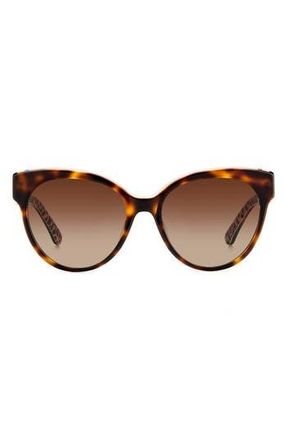 Kate Spade New York aubriela 55mm gradient round sunglasses in Havana Pattern/Brown Polar at Nordstrom Rack