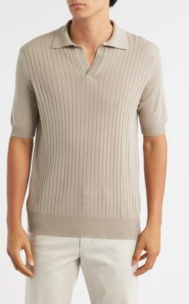 Aur&eacute;lien Rib Johnny Collar Cashwool Polo Sweater in Greige at Nordstrom Rack, Size Xx-Large