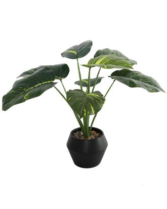 Flora Bunda 22In Travelers Palm In 8In Geo Ceramic Planter