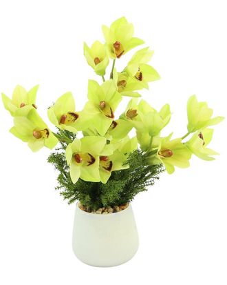 Creative Displays Inc. Green Orchid Floral Arrangement