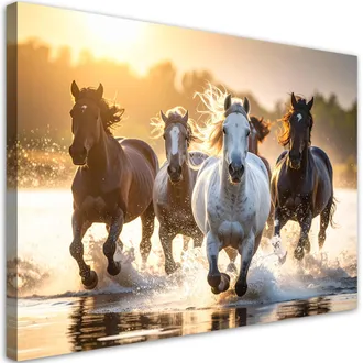 Feeby Impresi&oacute;n De Imagen, Caballos Galopando En El Agua Naturaleza, 100x70