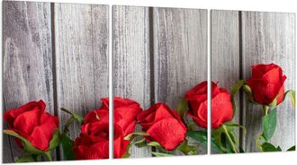 OEM Placa Protectora De Vidrio Para Estufa 3x30x52