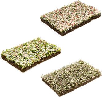 OEM Grupos De Plantas Ornamentales En Miniatura, 3 Piezas, -d