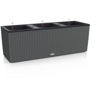 Lechuza Pot Trio Cottage 30 - Kit Completo, Granito - 100 Cm Lechuza
