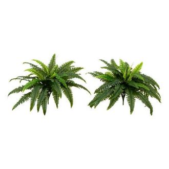 Nearly Natural 40-in UV Resistant Artificial Boston Fern (Indoor/Outdoor) - Set of 2 in Green at Nordstrom