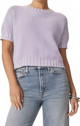 Splendid Annmarie Short Sleeve Sweater In Lavender