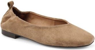 Artisan by Zigi Chaplinn Flat in Taupe Suede at Nordstrom, Size 11