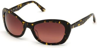 Web Eyewear Brown Plastic Womens Sunglasses