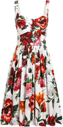 Dolce & Gabbana Anemoni Print Cotton Midi Dress