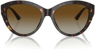 Jimmy Choo London 55mm Polarized Gradient Phantos Sunglasses in Havana/polar Gradient Brown at Nordstrom