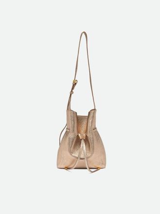 Gianni Chiarini SIENNA
