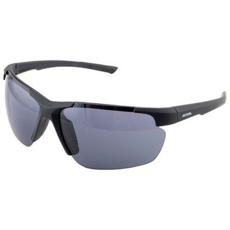 Alpina Defey HR S3 Sonnenbrille - Unisex | grau