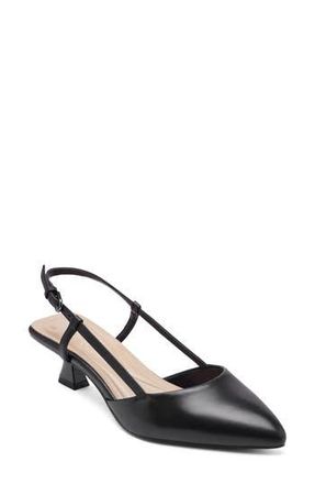 Easy Spirit Havana Slingback Pointed Toe Kitten Heel Pump in Black at Nordstrom Rack, Size 9.5