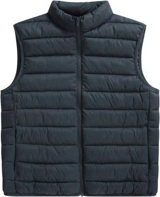 Animal Light Cloud Cosi Vest in Navy at Nordstrom, Size Xx-Large