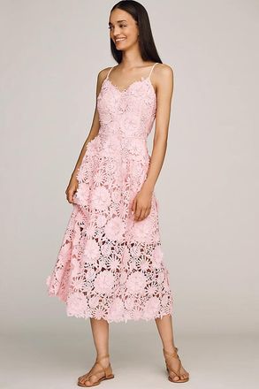 endless rose Lace Midi Dress