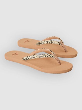 Rip Curl Freedom Bloom Open Toe Sandalen
