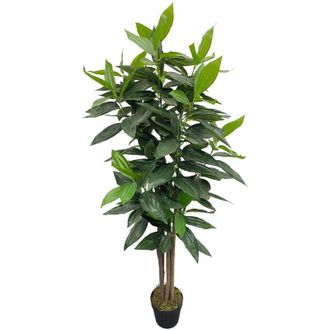 Mobili Rebecca Mobili Rebecca - Pianta artificiale Cassia Rebecca Mobili Kori 145x40x40 peva Legno Verde Marrone