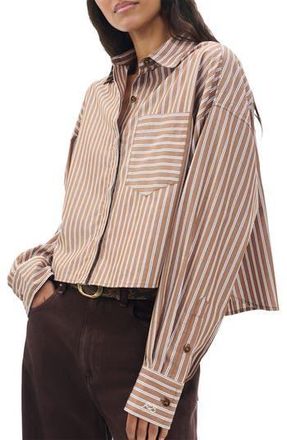 Rag & Bone Marin Stripe Cotton Crop Button-Up Shirt in Tobacco at Nordstrom Rack, Size Large