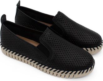 Bottero Bottwister Verao Slip-On Sneaker in Preto at Nordstrom, Size 11