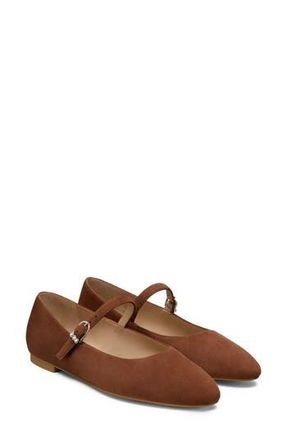 Stuart Weitzman Analeise Mary Jane Flat in Chocolate at Nordstrom Rack, Size 10