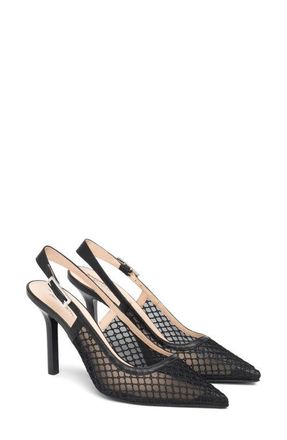Nero Giardini Slingback Pointed Toe Pump in Black at Nordstrom, Size 10Us
