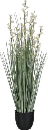 Creativ Green Kunstgras