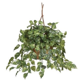 Nearly Natural Pothos Hanging Basket Artificial Plant in Green at Nordstrom