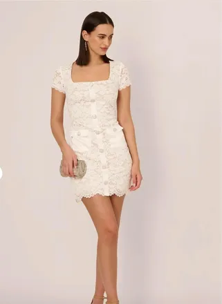Adrianna Papell Lace Dress In Ivory