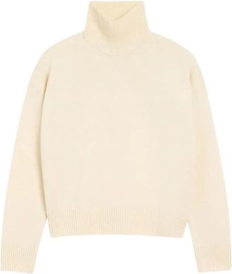 Ami Truien & Vesten, Dames, Beige, L, Wol, De Coeur Funnel Neck Sweater