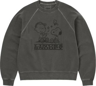 Thisisneverthat Hoodies & sweatvesten, Heren, Grijs, M, Katoen, TNT Peanuts Faded Crewneck